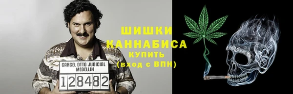 ПСИЛОЦИБИНОВЫЕ ГРИБЫ Алзамай