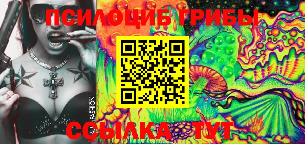 Камышин  Галлюциногенные грибы Psilocybe  Вход с VPN  Псилоцибиновые грибы GOLDEN TEACHER 