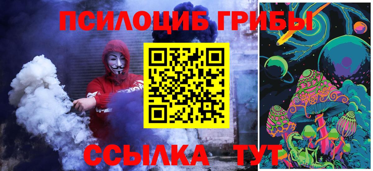 Псилоцибиновые грибы Psilocybine cubensis Камышин